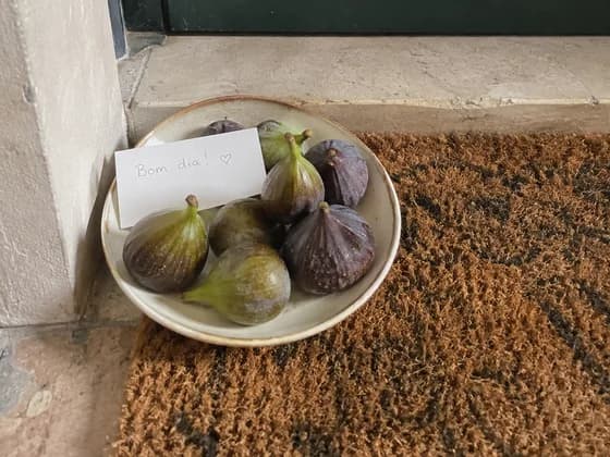figs on a plate