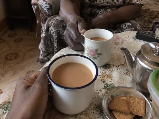 her hands, tea
